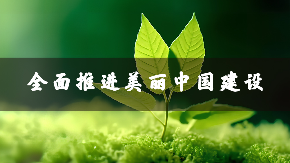 推進(jìn)美麗中國(guó)建設(shè).jpg